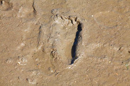 Footprints in the Sandの写真素材