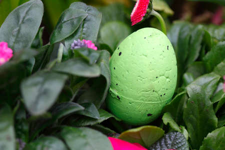 Green Easter Egg