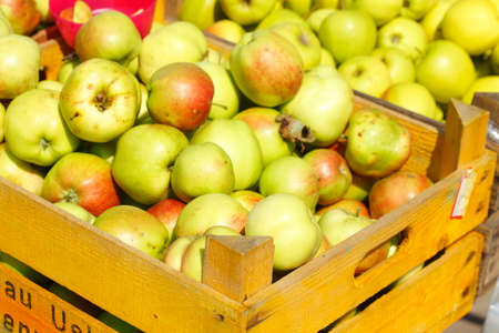 Fresh Apples on a Market Stallの写真素材