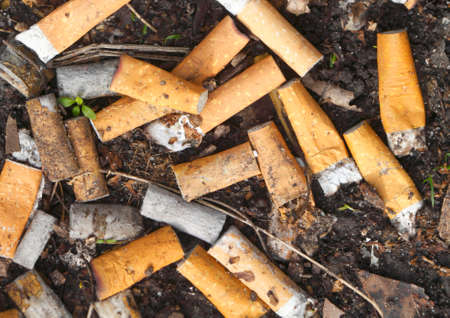 cigarette stumpsの写真素材