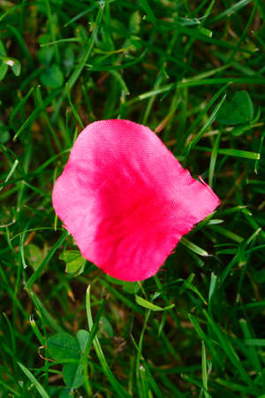 pink sheets of a Plastic Rose in the grassの写真素材