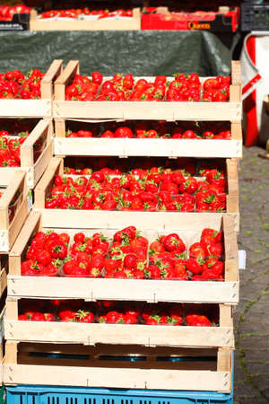 Fresh Strawberries in wooden boxes on a Market Stallの写真素材