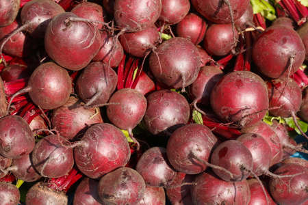 red Beet roots (Beta vulgaris vulgaris) on a market stall