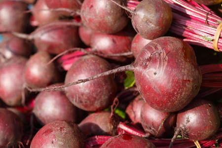 red Beet roots (Beta vulgaris vulgaris) on a market stall
