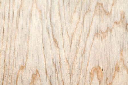 wooden boards of a wooden fence