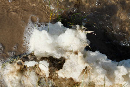 Pollution, water foam on a lakeの写真素材