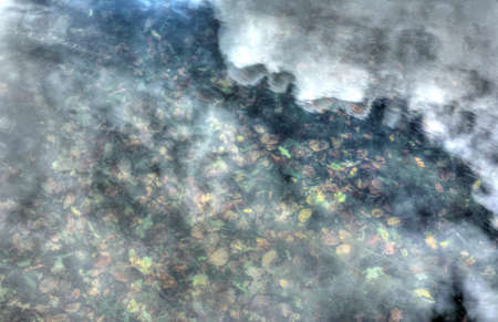 colorful Autumn Leaves swimming in the waterの写真素材