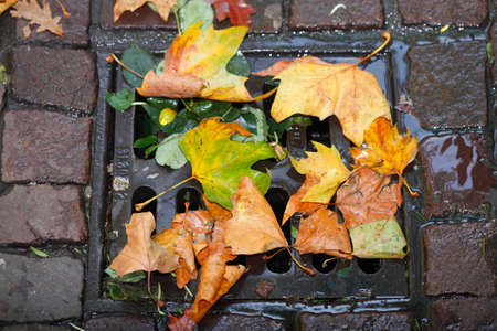 colorful Autumn Leaves on a canal severの写真素材