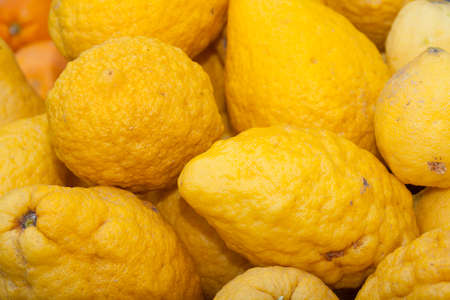 Fresh yellow Lemons