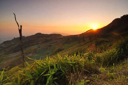 Sunset の写真素材
