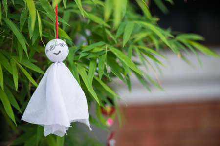 Sunny doll  Japanese hang it to pray for good weather の写真素材