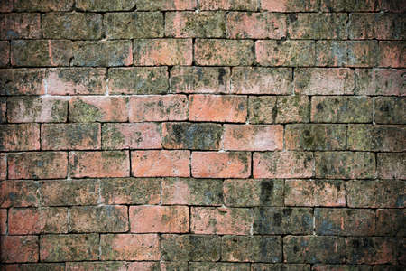 Old brick wall texture