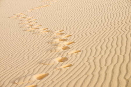 The footstep in white sand duneの写真素材