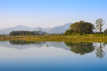 The trees and its reflection in the lake