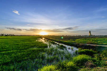 Golden Buddha statue at Wat Muang in Angthong, Thailandの写真素材