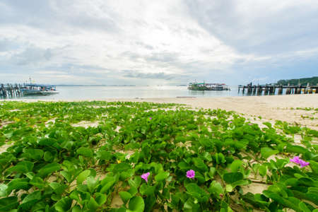 Idyllic Scene Beach at Samed Island,Thailandの写真素材
