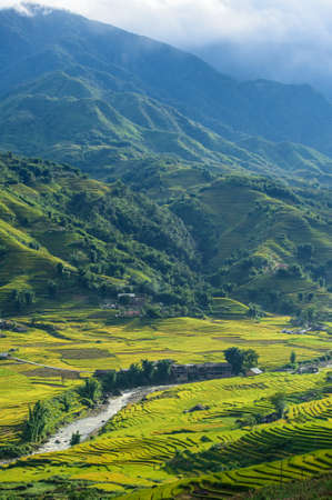 Rice fields on terraced in rainny season at SAPA, Lao Cai, Vietnamの写真素材