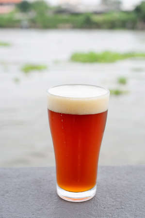 Craft beer in the glassの写真素材