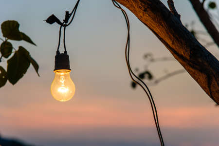 Old vintage light bulb