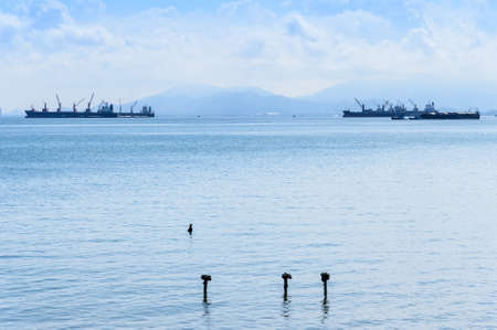 Large container ship in the seaの写真素材