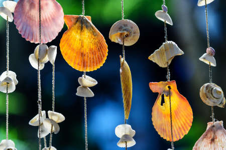 Handicrafts produced by the shell wall in soft focusの写真素材