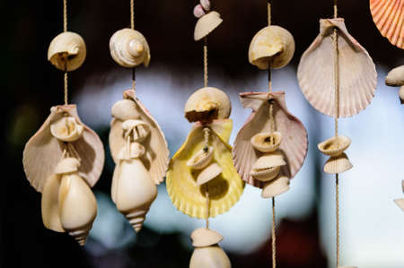 Handicrafts produced by the shell wall in soft focusの写真素材