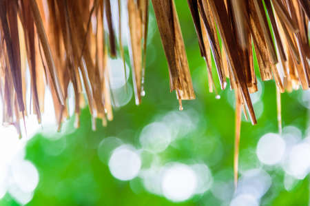 Soft focus of straw roofの写真素材