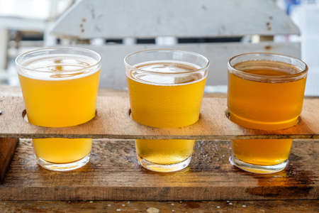 Craft beer in the glassの写真素材