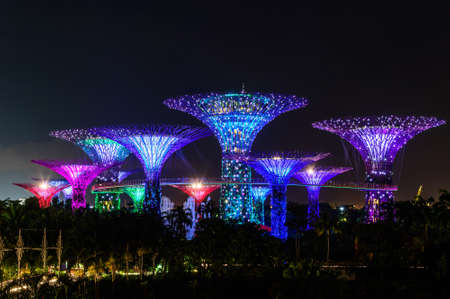 SINGAPORE - NOVEMBER 22, 2016: Supertrees at Gardens by the Bay. The tree-like structures are fitted with environmental technologies that mimic the ecological function of trees.のeditorial素材
