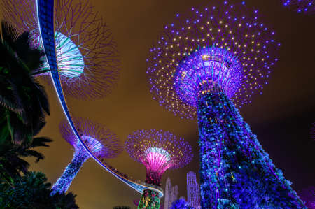 SINGAPORE - NOVEMBER 22, 2016: Supertrees at Gardens by the Bay. The tree-like structures are fitted...