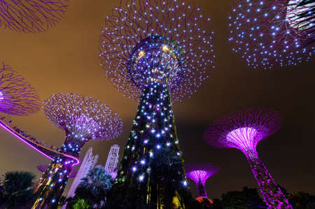 SINGAPORE - NOVEMBER 22, 2016: Supertrees at Gardens by the Bay. The tree-like structures are fitted with environmental technologies that mimic the ecological function of trees.のeditorial素材