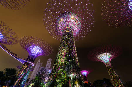 SINGAPORE - NOVEMBER 22, 2016: Supertrees at Gardens by the Bay. The tree-like structures are fitted with environmental technologies that mimic the ecological function of trees.のeditorial素材