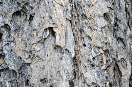 Close up of stone texture