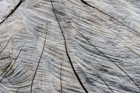 Old wood textureの写真素材