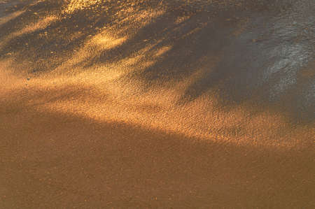 Golden sand on the beachの写真素材