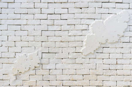 White brickwall texture backgroundの写真素材