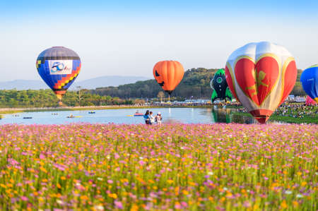 Colourful ballon in summerのeditorial素材