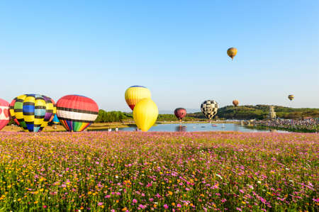 Colourful ballon in summerの写真素材
