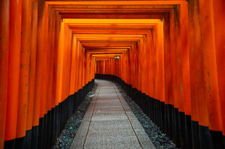 fushimi inari shrine, Kyoto, Japan
