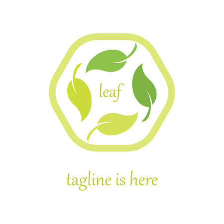 4 Leaf Logo Template Vector Designのイラスト素材
