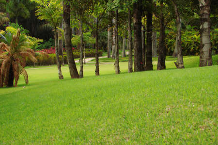 Garden                               の写真素材