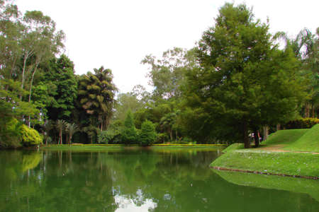 lake                                の写真素材