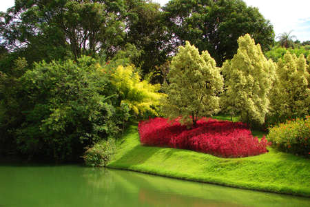 Beautiful garden by a lake                               の写真素材