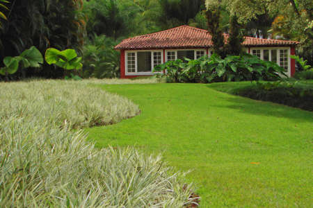 country side house                               の写真素材