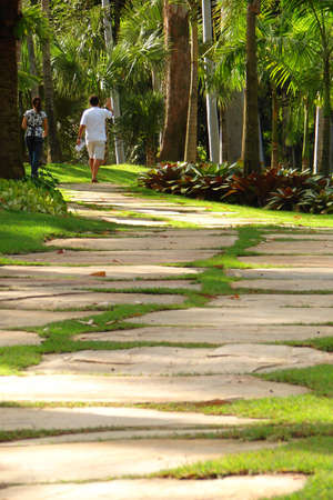 two people walking throw a wonderful garden                               の写真素材