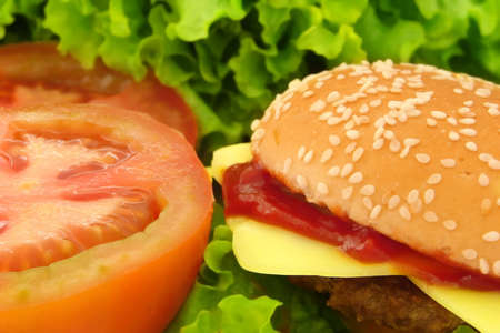   Hamburger, lettuce, tomato composition                             の写真素材