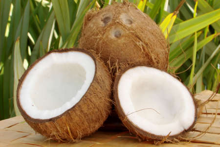 Coconuts                               の写真素材