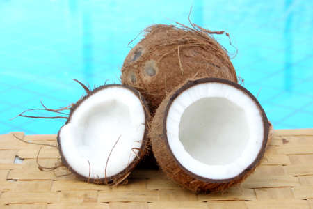  Coconuts                              の写真素材
