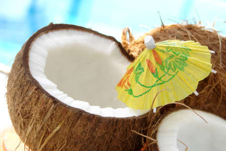 Coconuts                               の写真素材