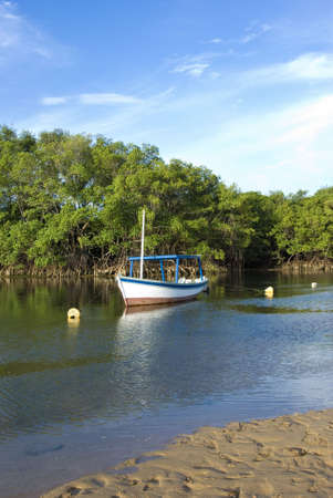 Brazilian coast lineの写真素材